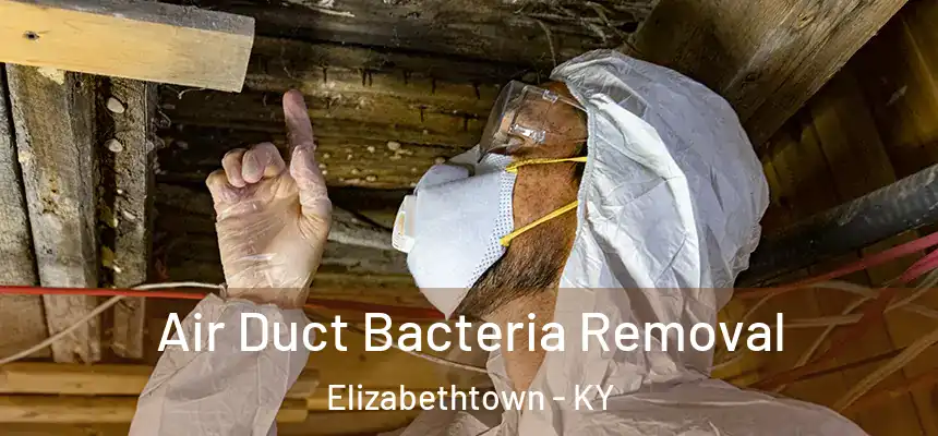Air Duct Bacteria Removal Elizabethtown - KY