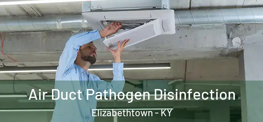  Air Duct Pathogen Disinfection Elizabethtown - KY
