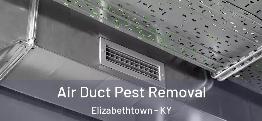 Air Duct Pest Removal Elizabethtown - KY