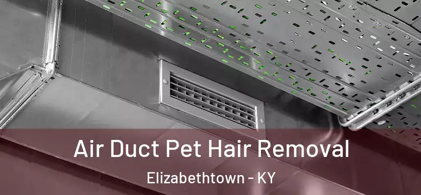 Air Duct Pet Hair Removal Elizabethtown - KY