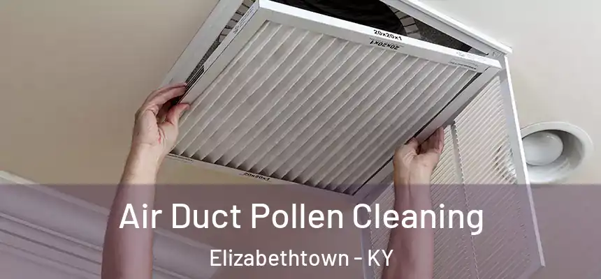 Air Duct Pollen Cleaning Elizabethtown - KY