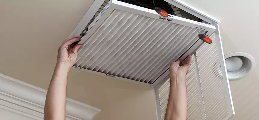 Preventive Cockroach-Proofing for Ducts in Elizabethtown