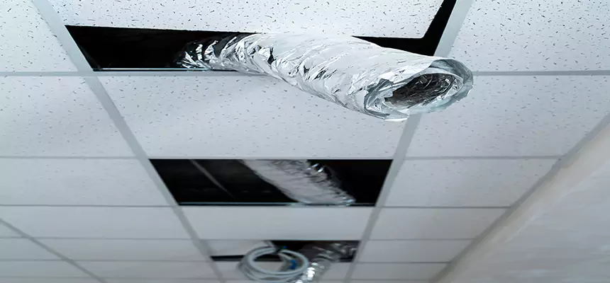 Our Air Duct Pet Hair Removal Services in Elizabethtown, KY