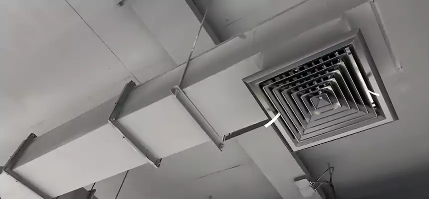 Our Rodent Droppings In Vents Services in Elizabethtown, KY