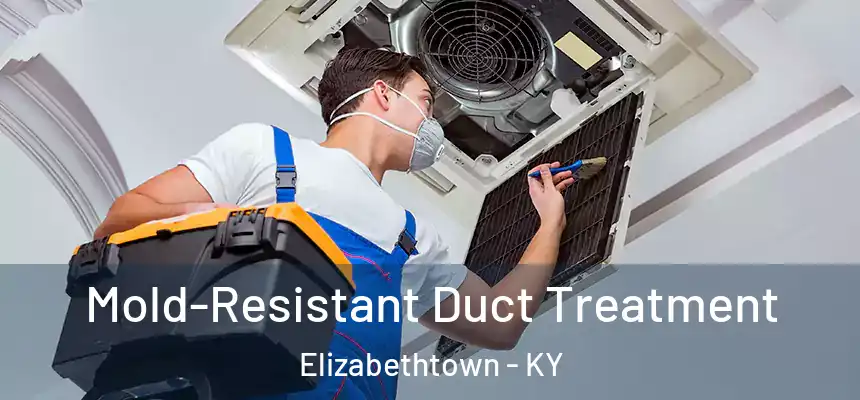Mold-Resistant Duct Treatment Elizabethtown - KY
