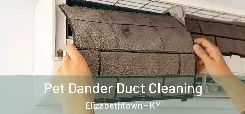  Pet Dander Duct Cleaning Elizabethtown - KY
