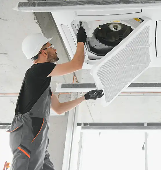 About Air Duct Rodent Removal in Elizabethtown, KY