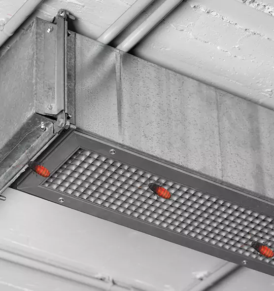 Affordable Insect Removal from Air Ducts in Elizabethtown, KY