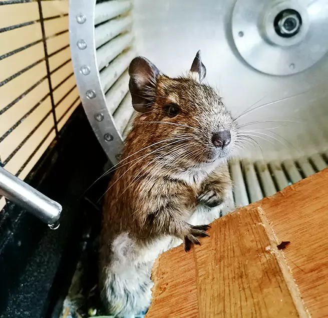 Why Homeowners & Businesses Trust Us Elizabethtown, KY