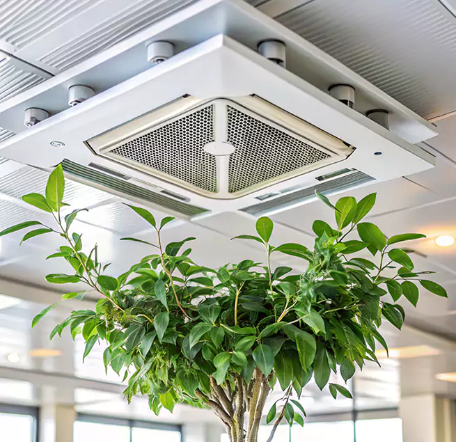 Why Homeowners & Businesses Trust Us in Elizabethtown, KY?