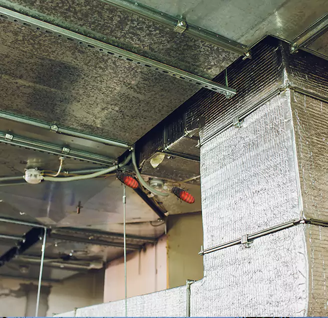 Why Homeowners & Businesses Trust Us Elizabethtown, KY?