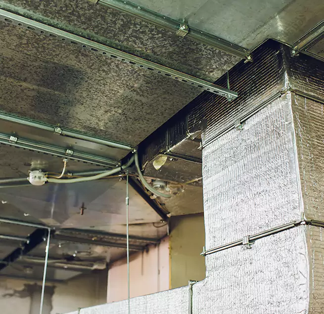 Why Homeowners & Businesses Trust Us in Elizabethtown, KY?